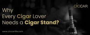 Why Every Cigar Lover Needs a Cigar Stand - Ciccar